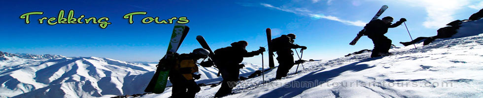 Trekking Tours