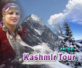 Hot Deal on Kashmir Tour